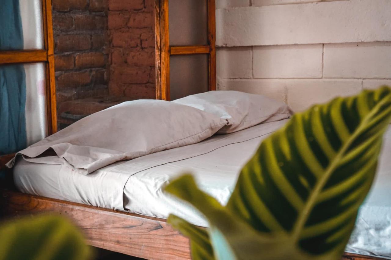 Hostal Los Chamos 산 후안 델 수르 외부 사진